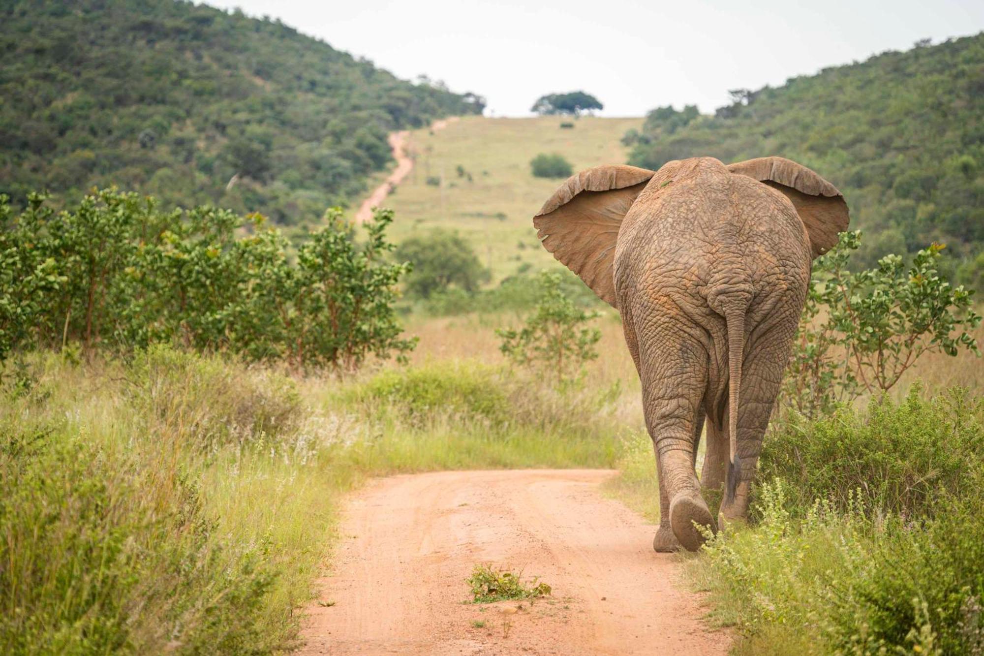 Ekuthuleni Lodge Странд Экстерьер фото